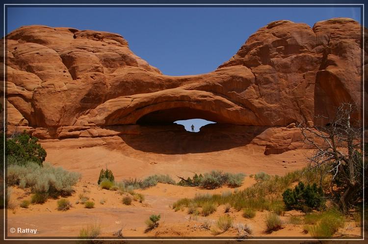 USA 2007 Tag17 090.jpg - Eye of the Whale Arch