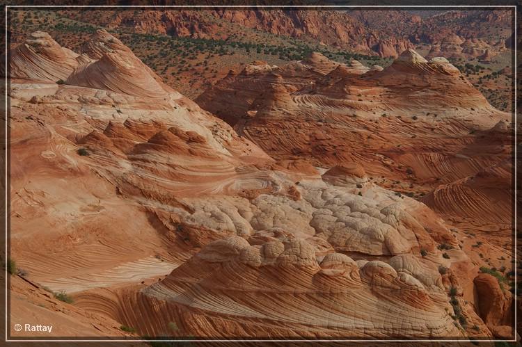 USA 2007 Tag12 006.jpg - North Coyote Buttes