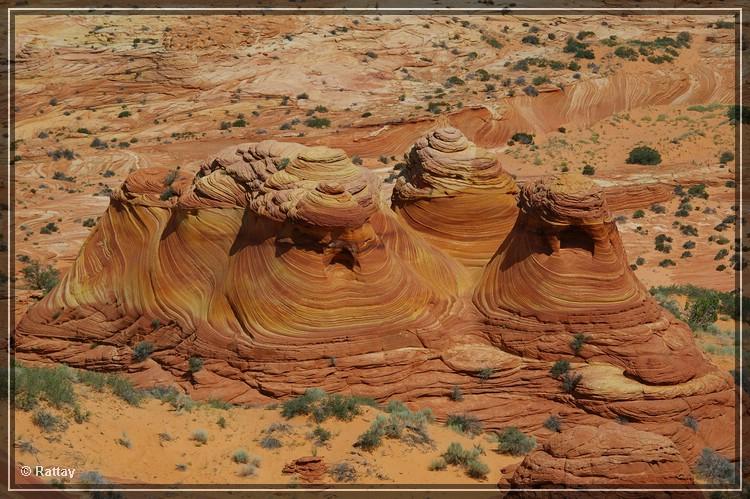 USA 2007 Tag12 043.jpg - North Coyote Buttes